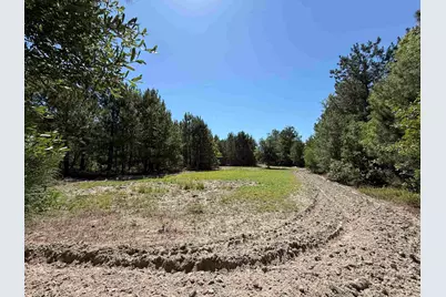 43 Acres - 5432 Juneburn Rd., Manning, SC 29102 - Photo 1