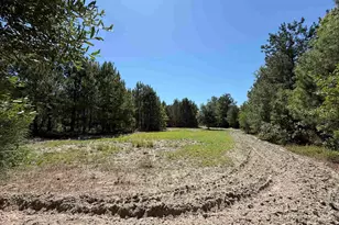43 Acres - 5432 Juneburn Rd, Manning, SC 29102 - Photo 1