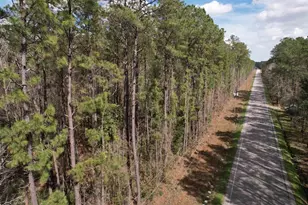 Tract B - Tbd Pennyroyal Rd, Georgetown, SC 29440 - Photo 1