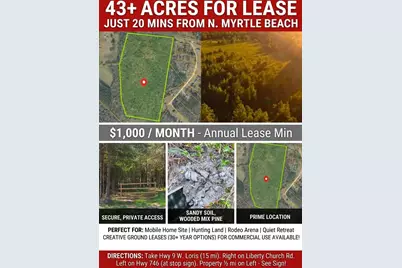 2550 Highway 746, Loris, SC 29569 - Photo 1