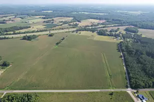 24 36 Acres - Newman Swamp Rd, Lamar, SC 29069 - Photo 1