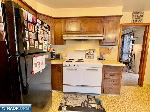 707 14th St, Virginia MN  55792-2251 exterior