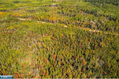 Tbd Vermilion Lake Road, Cook, MN 55723 - Photo 13