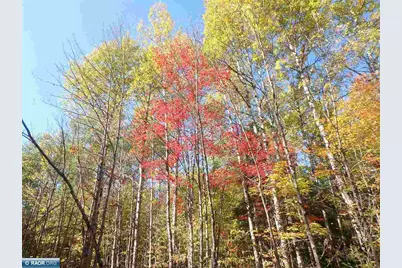 Tbd Vermilion Lake Road, Cook, MN 55723 - Photo 9