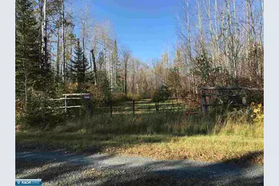 1961 Town Road 118, Birchdale, MN 56629 - Photo 37