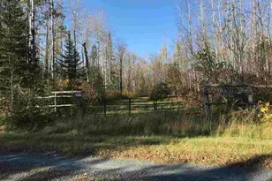 1961 Town Road 118, Birchdale, MN 56629 - Photo 37