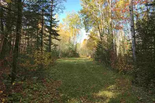 1961 Town Road 118, Birchdale, MN 56629 - Photo 29