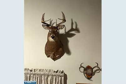 1961 Town Road 118, Birchdale, MN 56629 - Photo 39