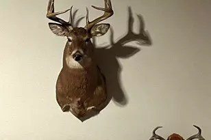 1961 Town Road 118, Birchdale, MN 56629 - Photo 39