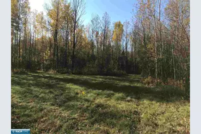 1961 Town Road 118, Birchdale, MN 56629 - Photo 31