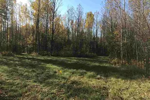 1961 Town Road 118, Birchdale, MN 56629 - Photo 31