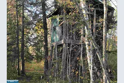 1961 Town Road 118, Birchdale, MN 56629 - Photo 19