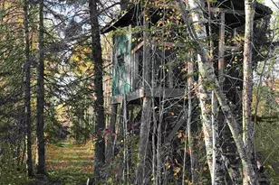 1961 Town Road 118, Birchdale, MN 56629 - Photo 19