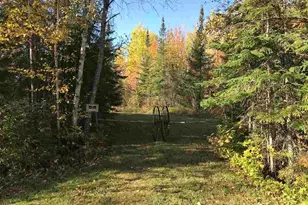 1961 Town Road 118, Birchdale, MN 56629 - Photo 17