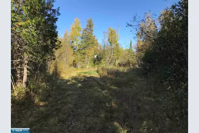 1961 Town Road 118, Birchdale, MN 56629 - Photo 23