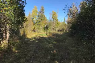 1961 Town Road 118, Birchdale, MN 56629 - Photo 23