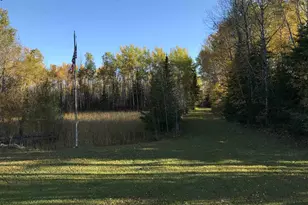 1961 Town Road 118, Birchdale, MN 56629 - Photo 3