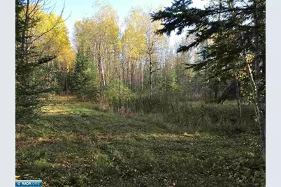 1961 Town Road 118, Birchdale, MN 56629 - Photo 21