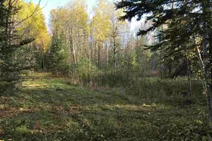 1961 Town Road 118, Birchdale, MN 56629 - Photo 21