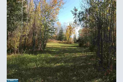 1961 Town Road 118, Birchdale, MN 56629 - Photo 27