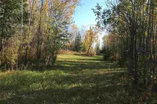 1961 Town Road 118, Birchdale, MN 56629 - Photo 27