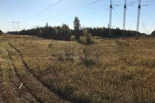 1961 Town Road 118, Birchdale, MN 56629 - Photo 35