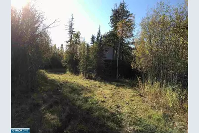 1961 Town Road 118, Birchdale, MN 56629 - Photo 15