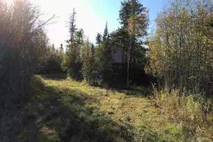 1961 Town Road 118, Birchdale, MN 56629 - Photo 15