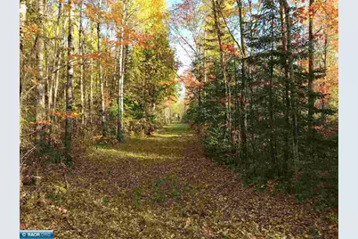 1961 Town Road 118, Birchdale, MN 56629 - Photo 1