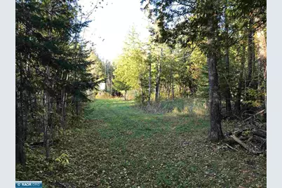 1961 Town Road 118, Birchdale, MN 56629 - Photo 13