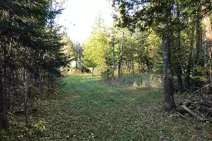 1961 Town Road 118, Birchdale, MN 56629 - Photo 13