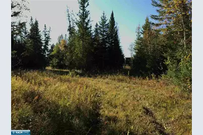 1961 Town Road 118, Birchdale, MN 56629 - Photo 25