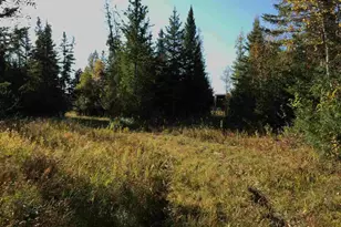 1961 Town Road 118, Birchdale, MN 56629 - Photo 25