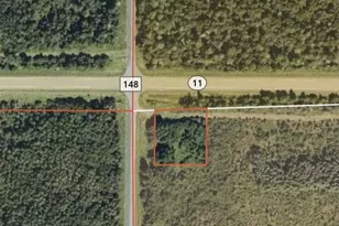 Tbd Hwy 11 W, Baudette, MN 56623 - Photo 1