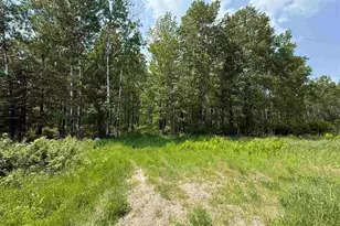 Tbd Samuelson Road - Sec 15, Angora, MN 55703 - Photo 1