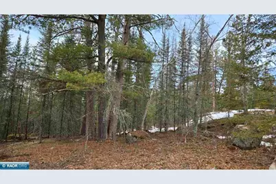 7316 Crane Lake Road, Crane Lake, MN 55725 - Photo 3
