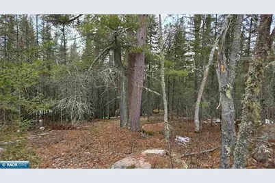 7316 Crane Lake Road, Crane Lake, MN 55725 - Photo 5