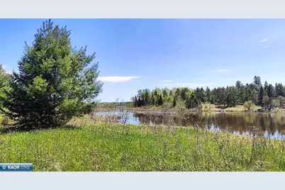 80048 Tamarack Trail, Tower, MN 55790 - Photo 1