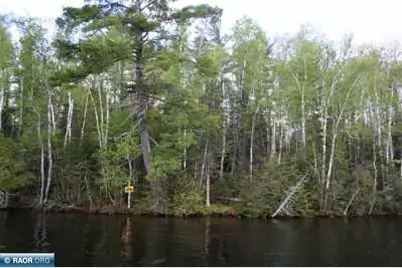Xx Pine Island NW, Tower, MN 55790 - Photo 1