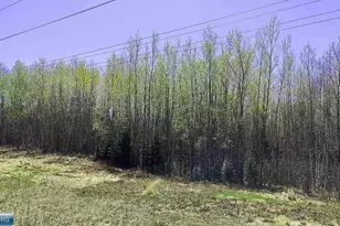 Tbd Hwy 115, Tower, MN 55790 - Photo 1