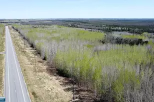 Tbd Hwy 115, Tower, MN 55790 - Photo 1