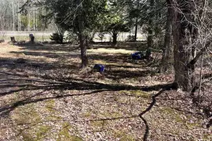 12122 & 12116 Old Hwy 169, Hibbing, MN 55746 - Photo 15