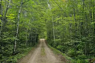 5876 Meander Lake Rd, Orr, MN 55771 - Photo 27