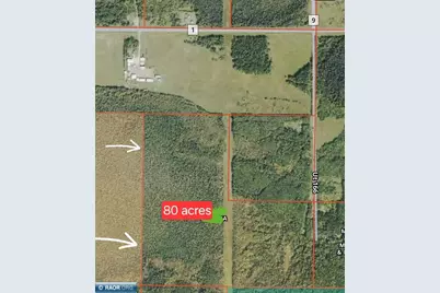 Tbd Town Road 166, Littlefork, MN 56653 - Photo 11
