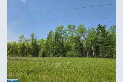 Tbd Town Road 166, Littlefork, MN 56653 - Photo 3