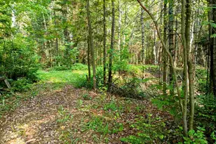 Tbd Long Lakes Shores Rd, Eveleth, MN 55734 - Photo 1