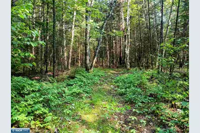 Tbd Long Lakes Shores Road, Eveleth, MN 55734 - Photo 7