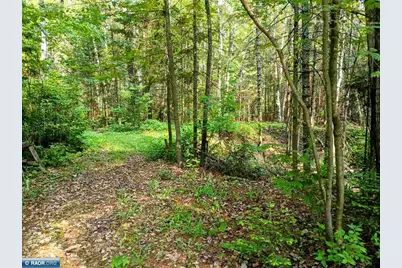 Tbd Long Lakes Shores Road, Eveleth, MN 55734 - Photo 5