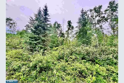 Tbd Shuster Rd, Orr, MN 55771 - Photo 1
