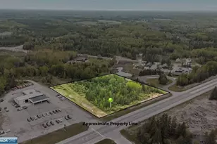 Tbd Hwy 53, Cook, MN 55723 - Photo 1